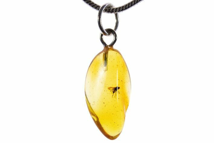 Polished Baltic Amber Pendant (Necklace) - Contains Fly! #339584